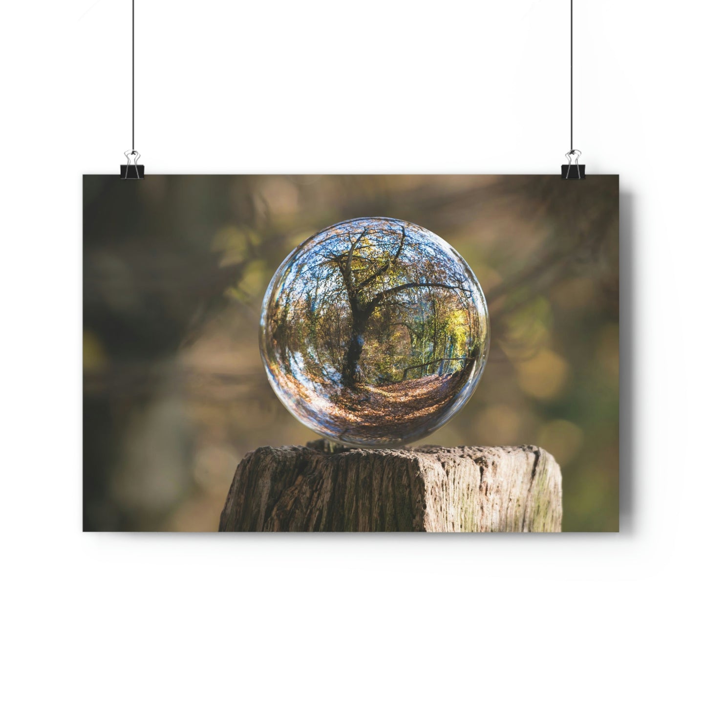 Forest, Globe, Nature, Forest Globe - Premium Poster