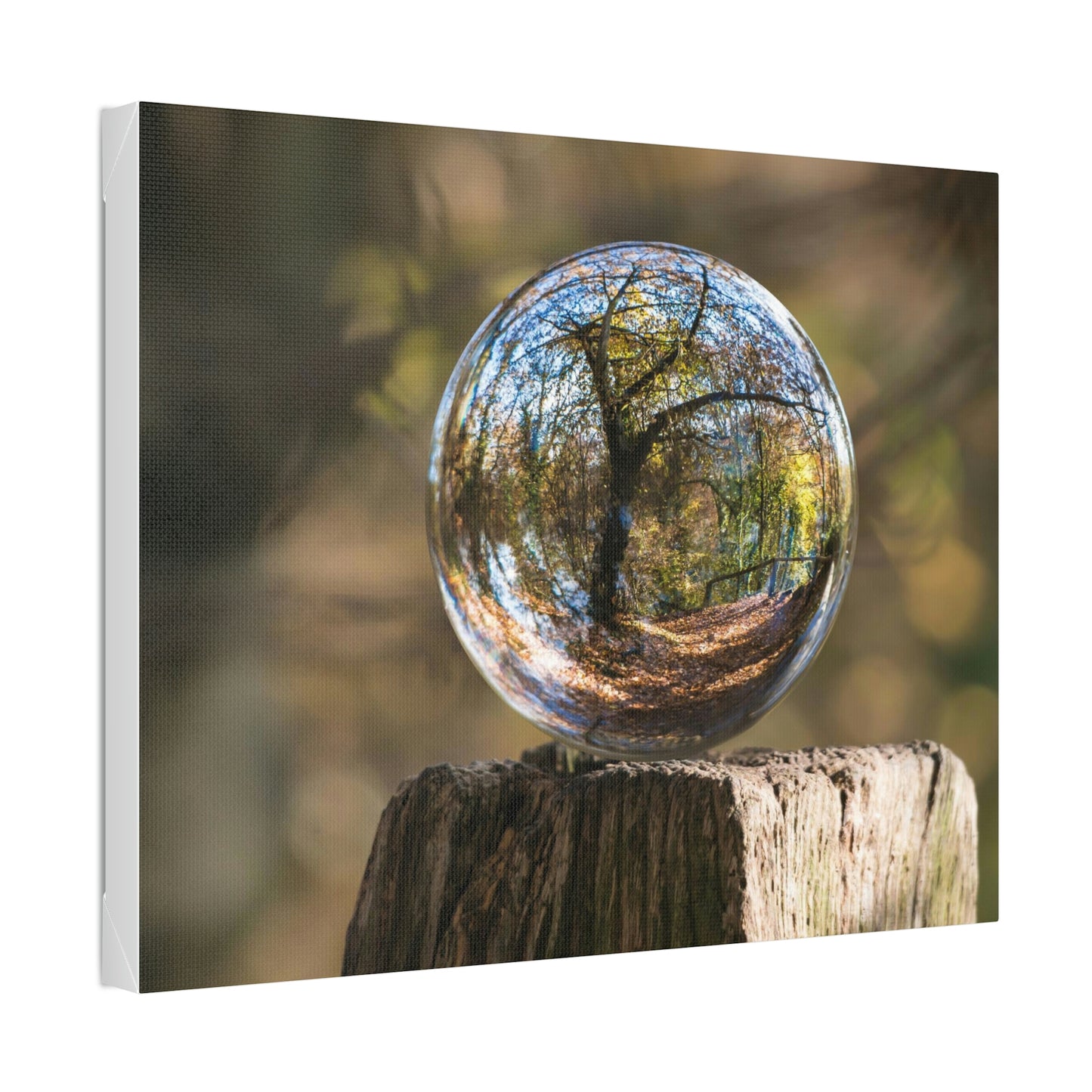 Forest, Globe, Trees, Nature, Forest Globe - Polyester Canvas