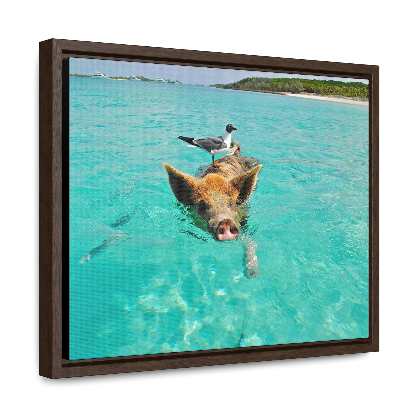 Ocean hog - Gallery Canvas Wraps, Horizontal Frame