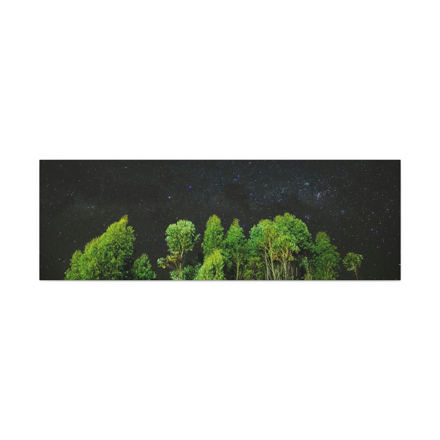 Starry Forest - Star, Forest, Nature - Canvas Gallery Wraps