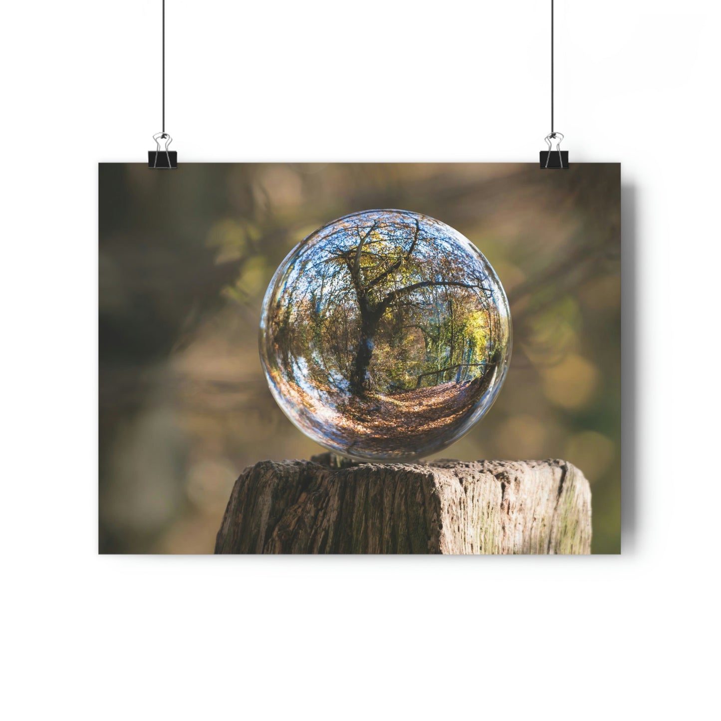 Forest, Globe, Nature, Forest Globe - Premium Poster