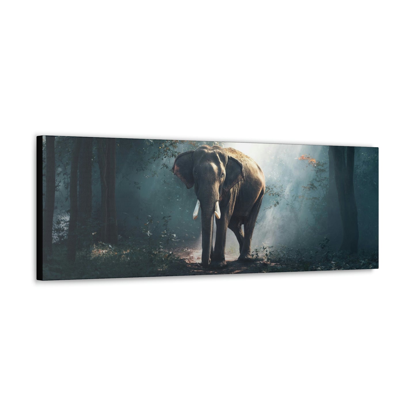 Elephant - Nature, Jungle Canvas Gallery Wraps