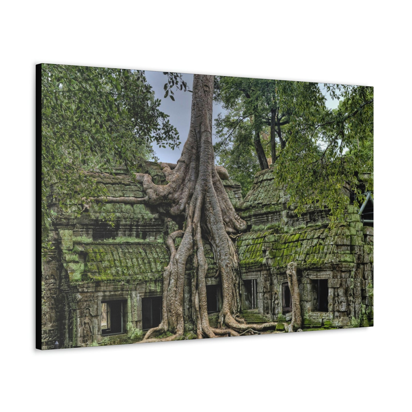 Jungle Temple - nature, trees Canvas Gallery Wraps