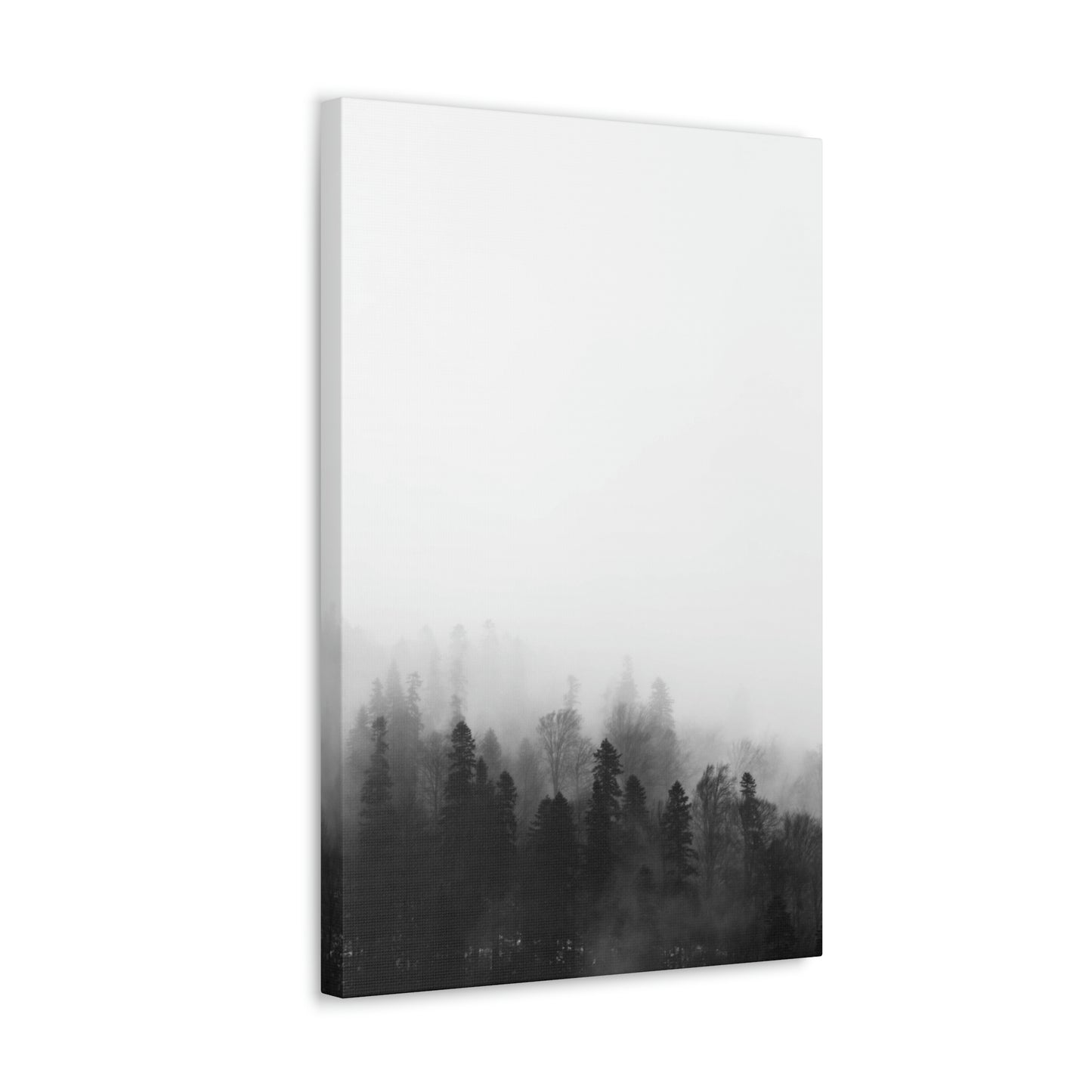 B&W Forest - Canvas Gallery Wraps