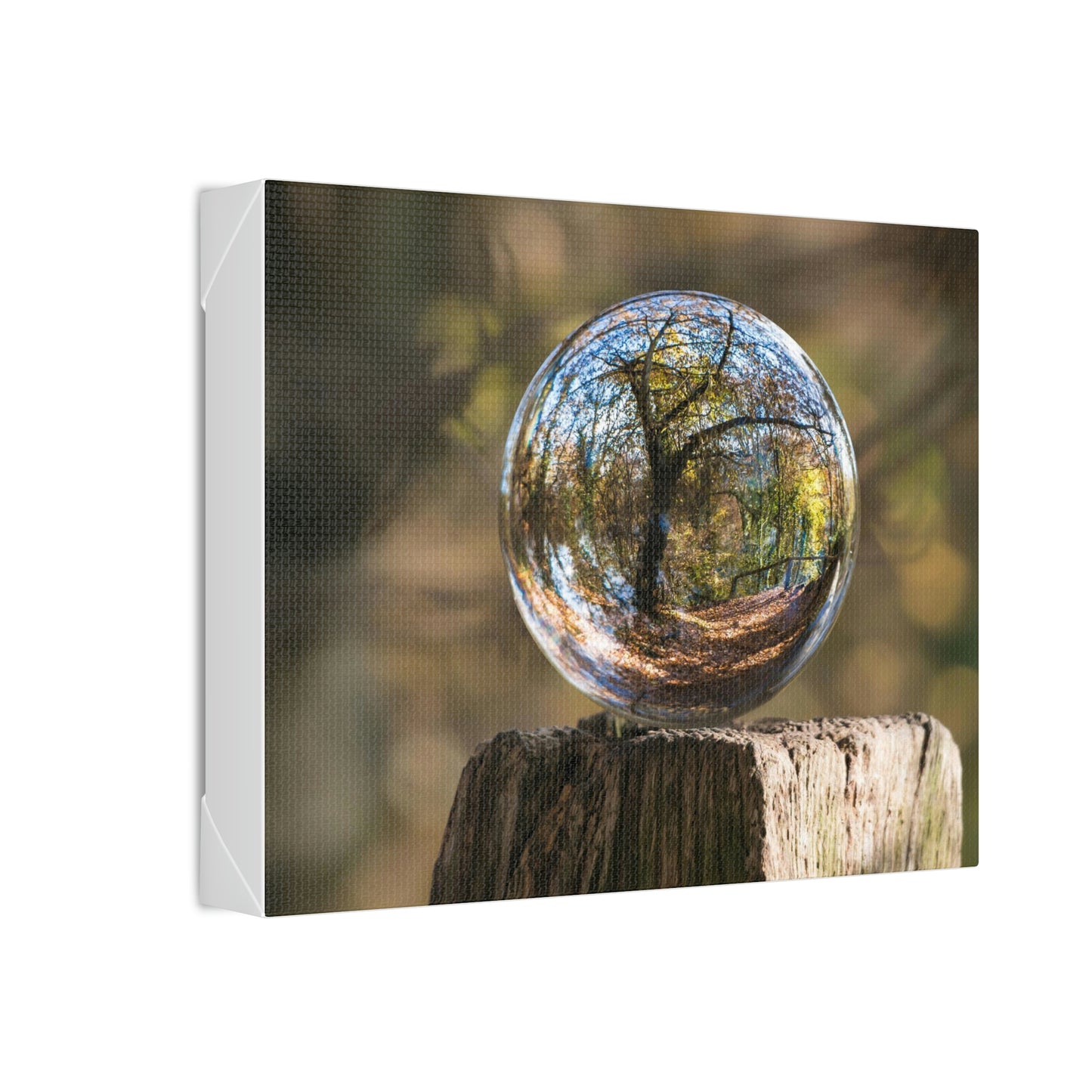 Forest, Globe, Trees, Nature, Forest Globe - Polyester Canvas