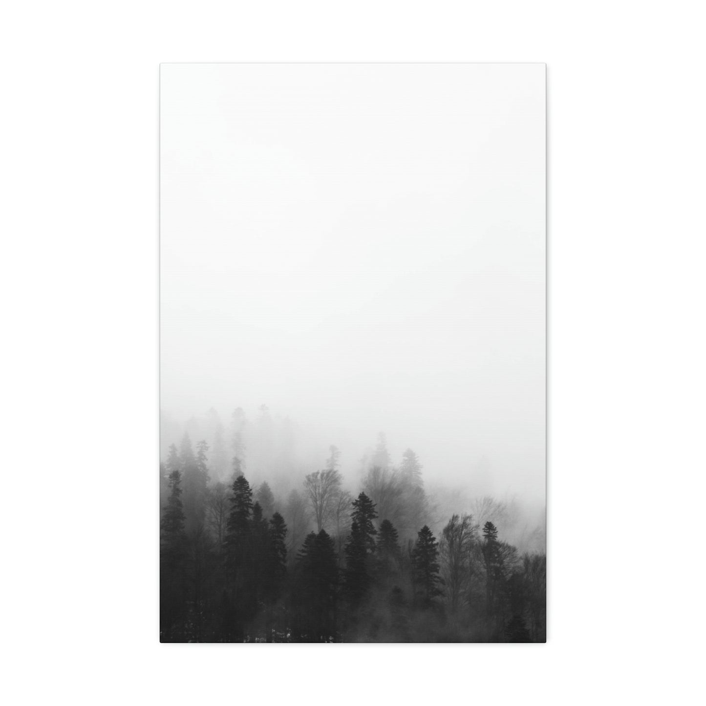 Forest, Black & White, Tree line, Nature, Fog, B and W Tree line Polyester Canvas