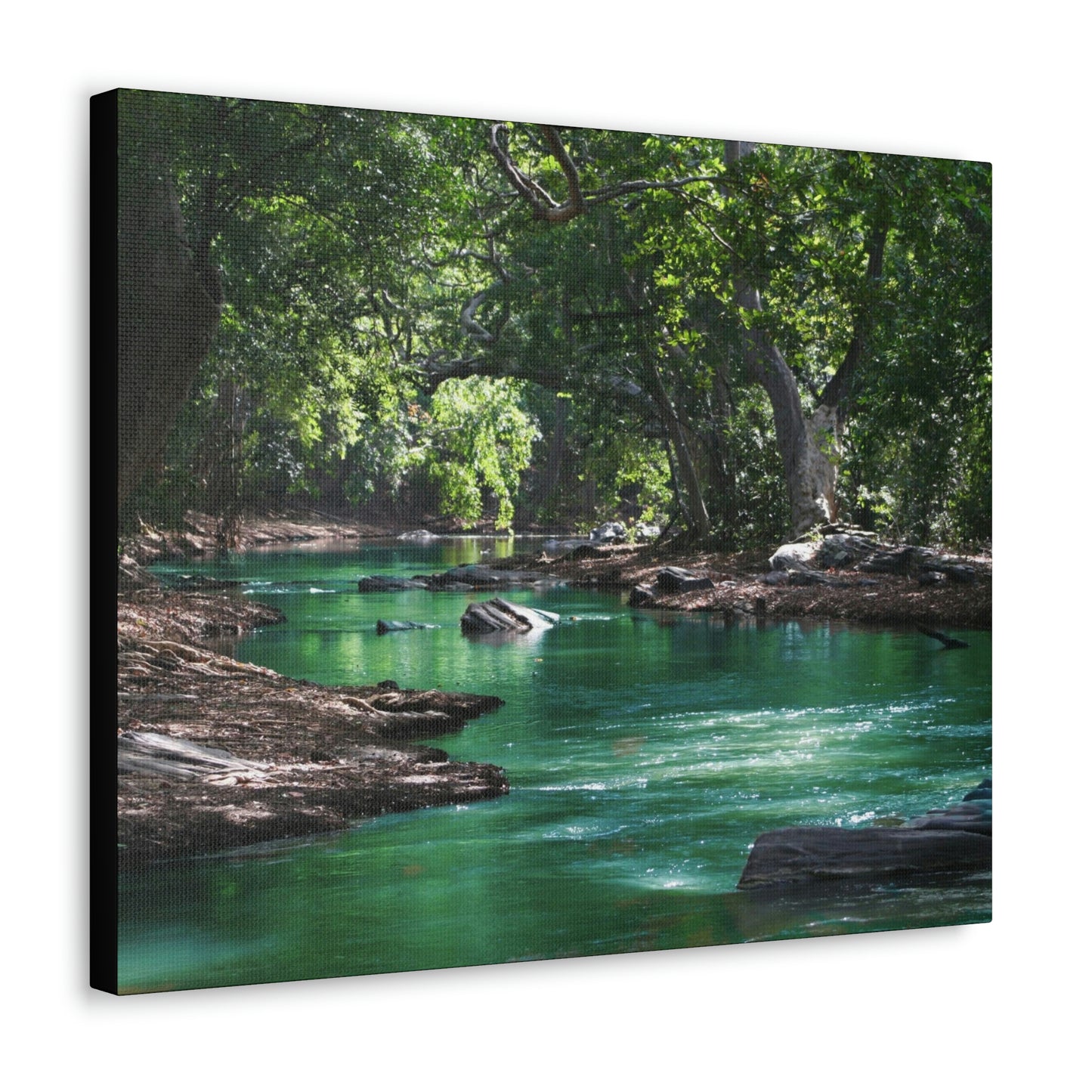 Scenic River - Forest - Canvas Gallery Wraps