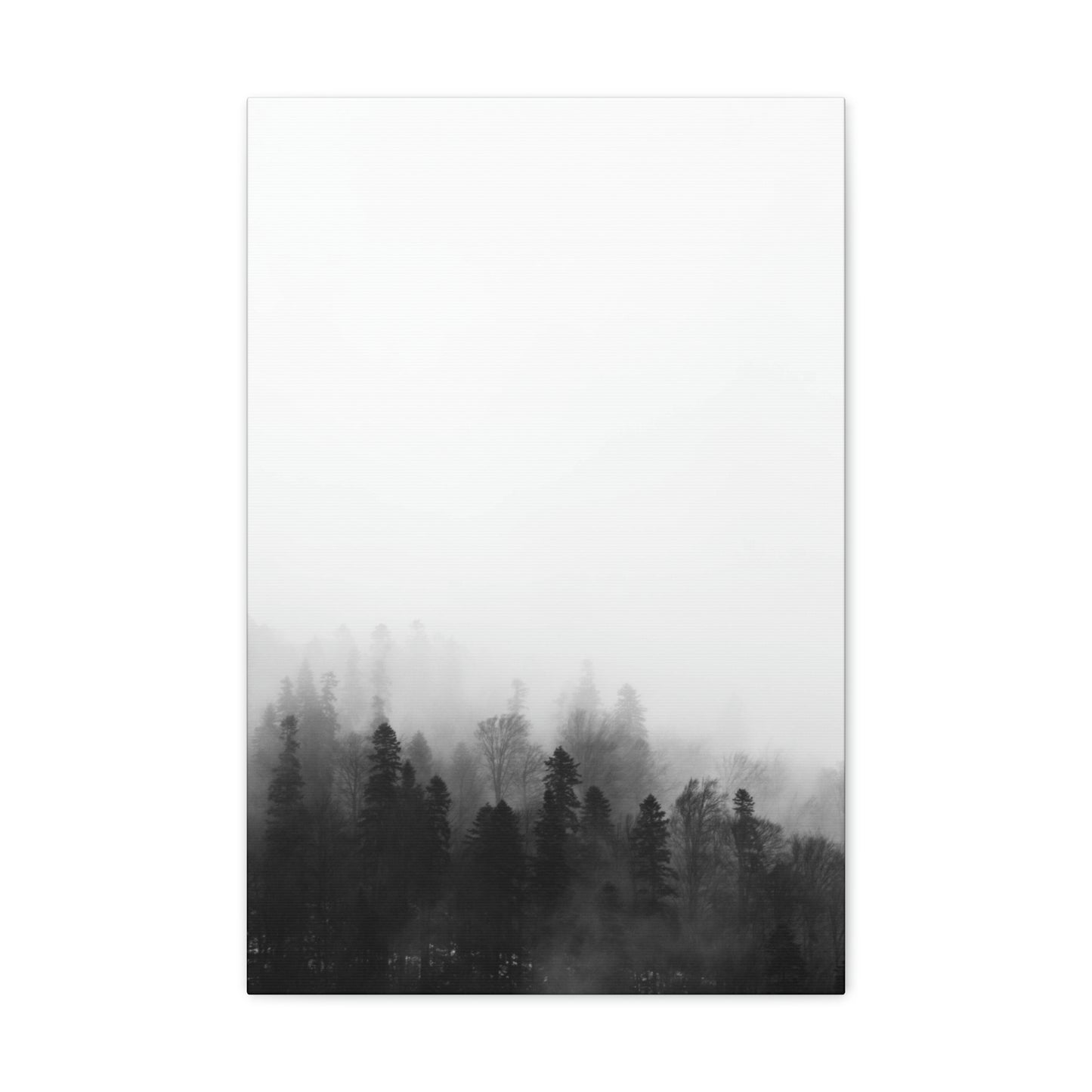 B&W Forest - Canvas Gallery Wraps