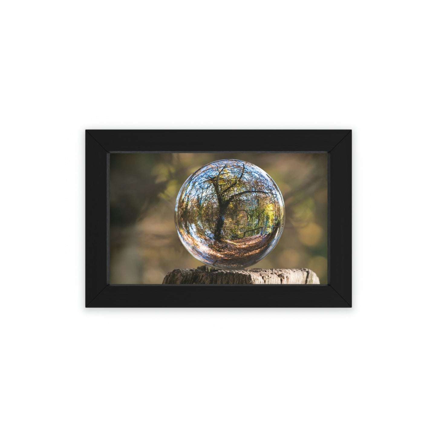 Forest Globe - Framed Poster, Horizontal