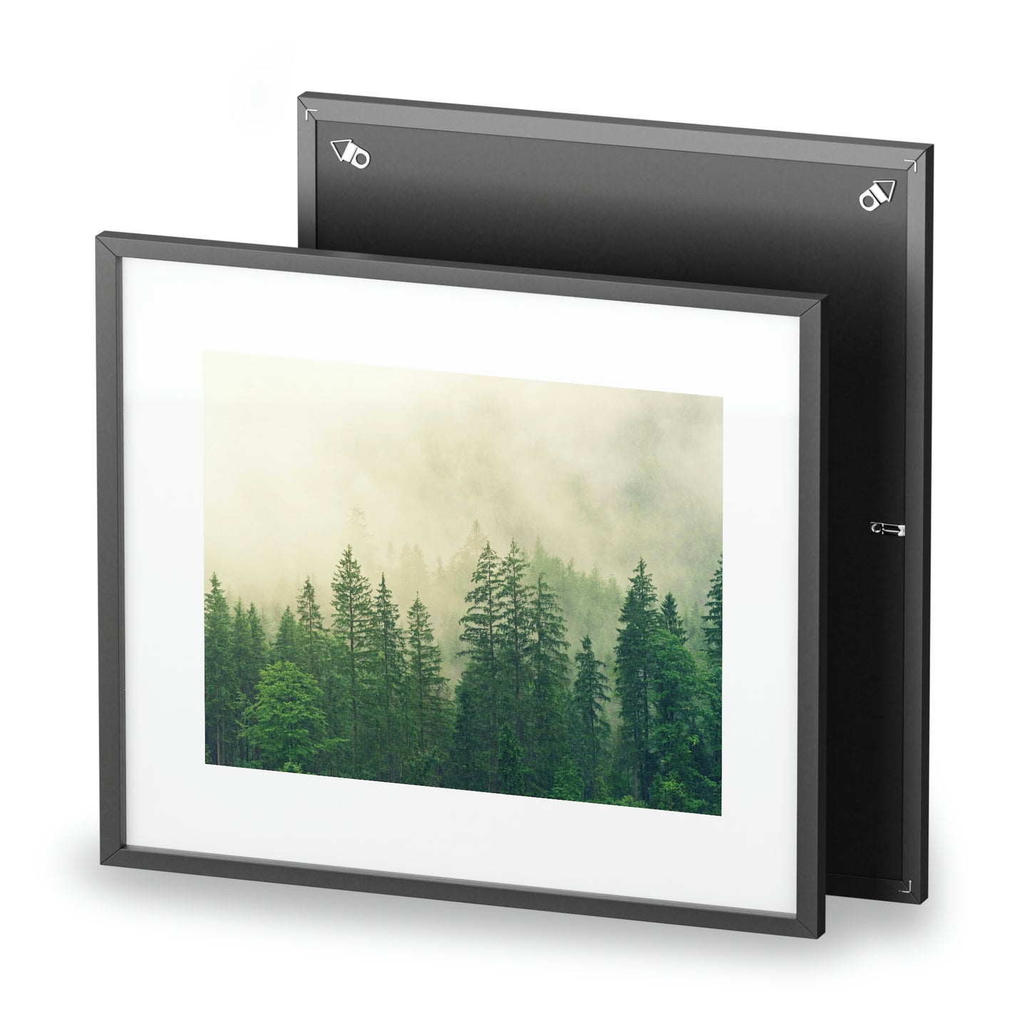 Foggy Forest - Framed Posters, Matte