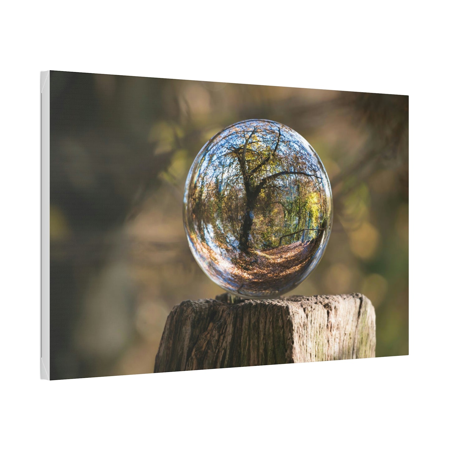 Forest, Globe, Trees, Nature, Forest Globe - Polyester Canvas