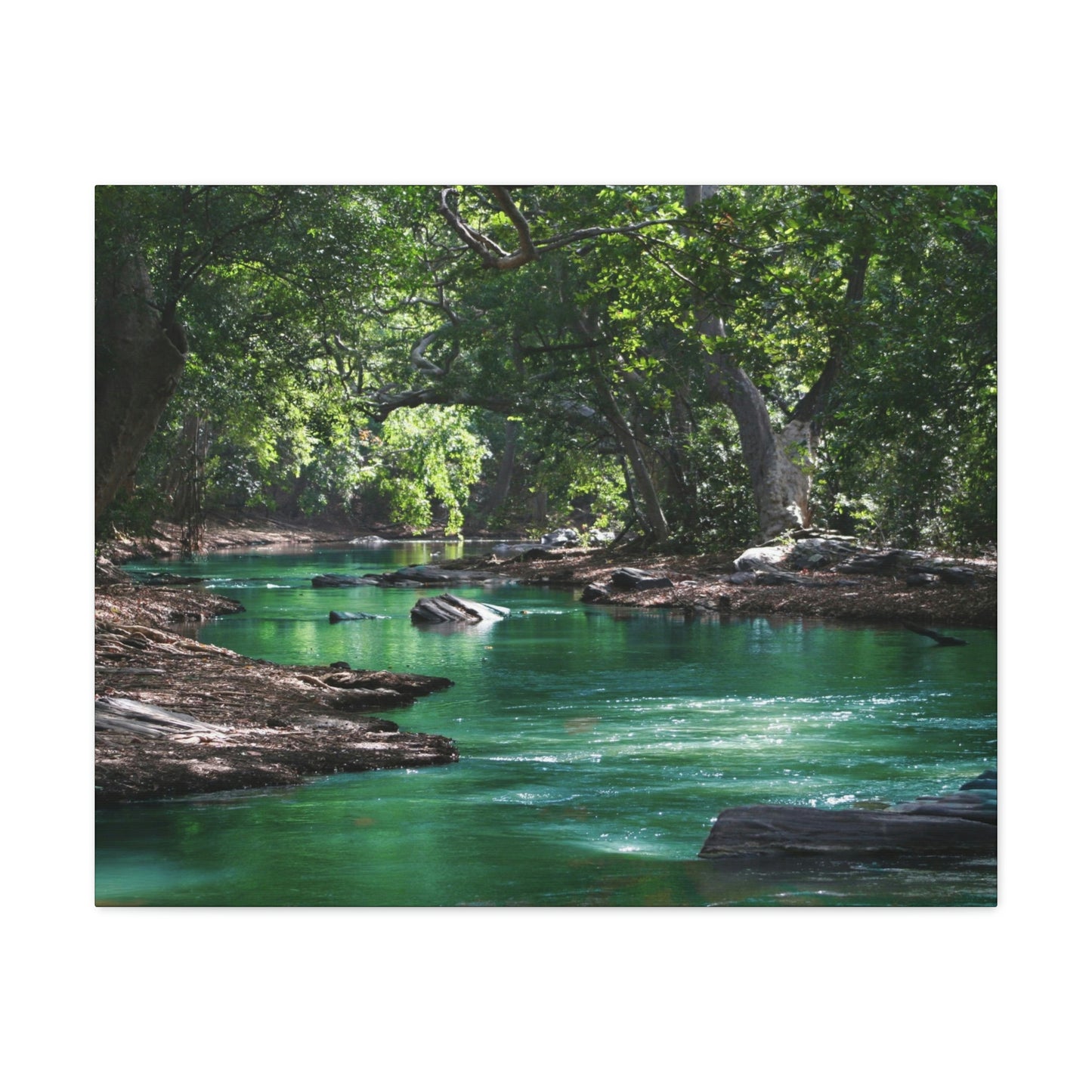 Scenic River - Forest - Canvas Gallery Wraps
