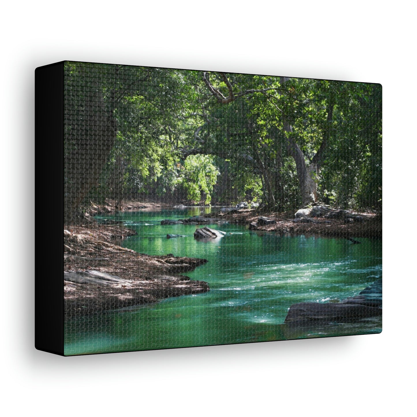 Scenic River - Forest - Canvas Gallery Wraps
