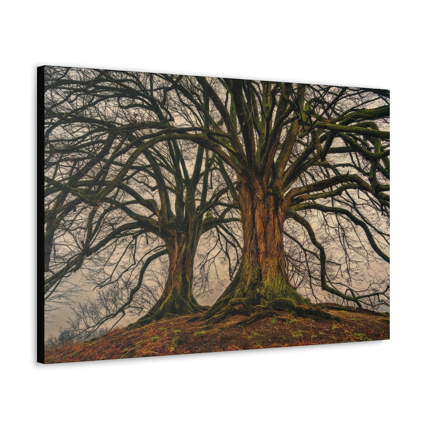 Dark Trees - Nature, Trees, Dark Canvas Gallery Wraps