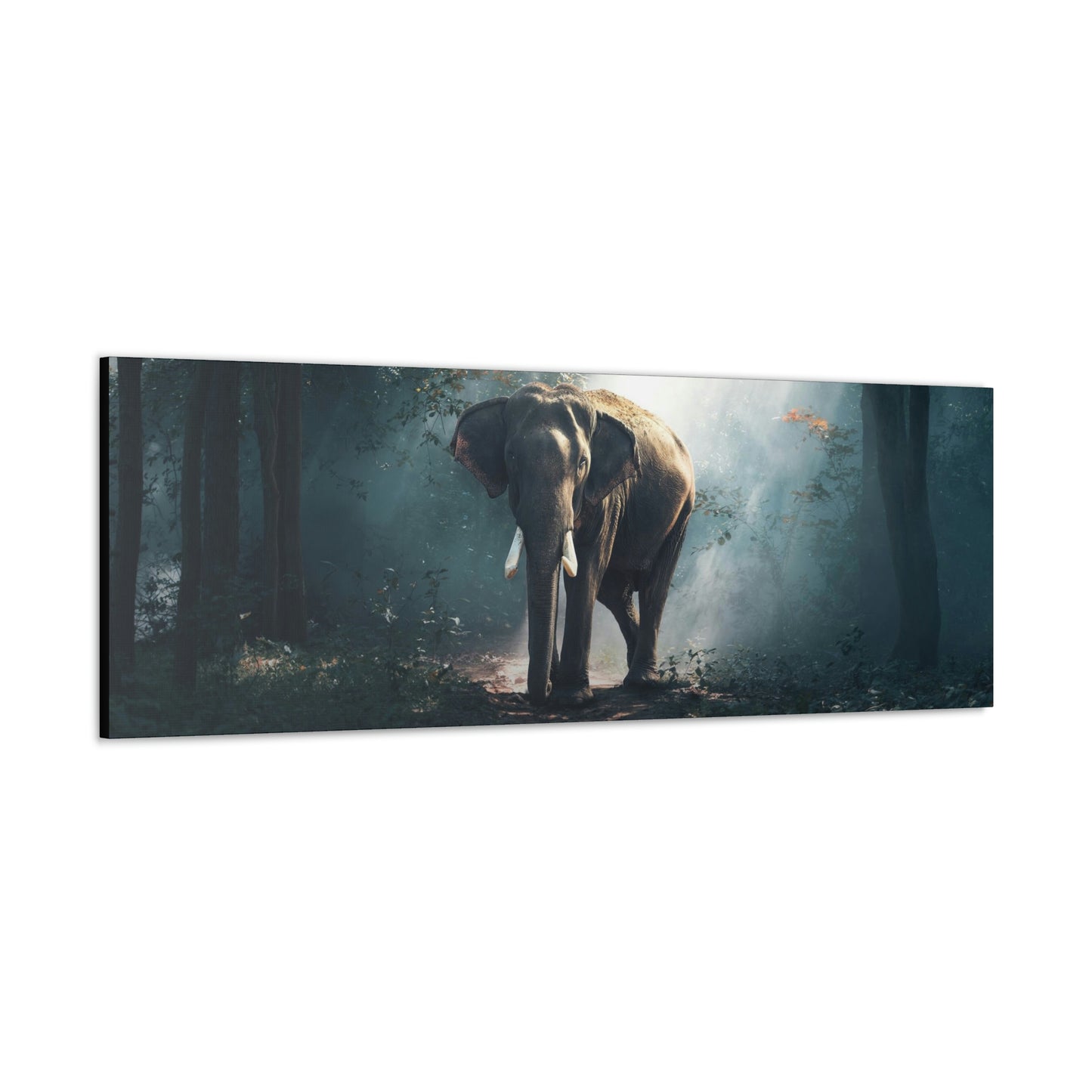 Elephant - Nature, Jungle Canvas Gallery Wraps