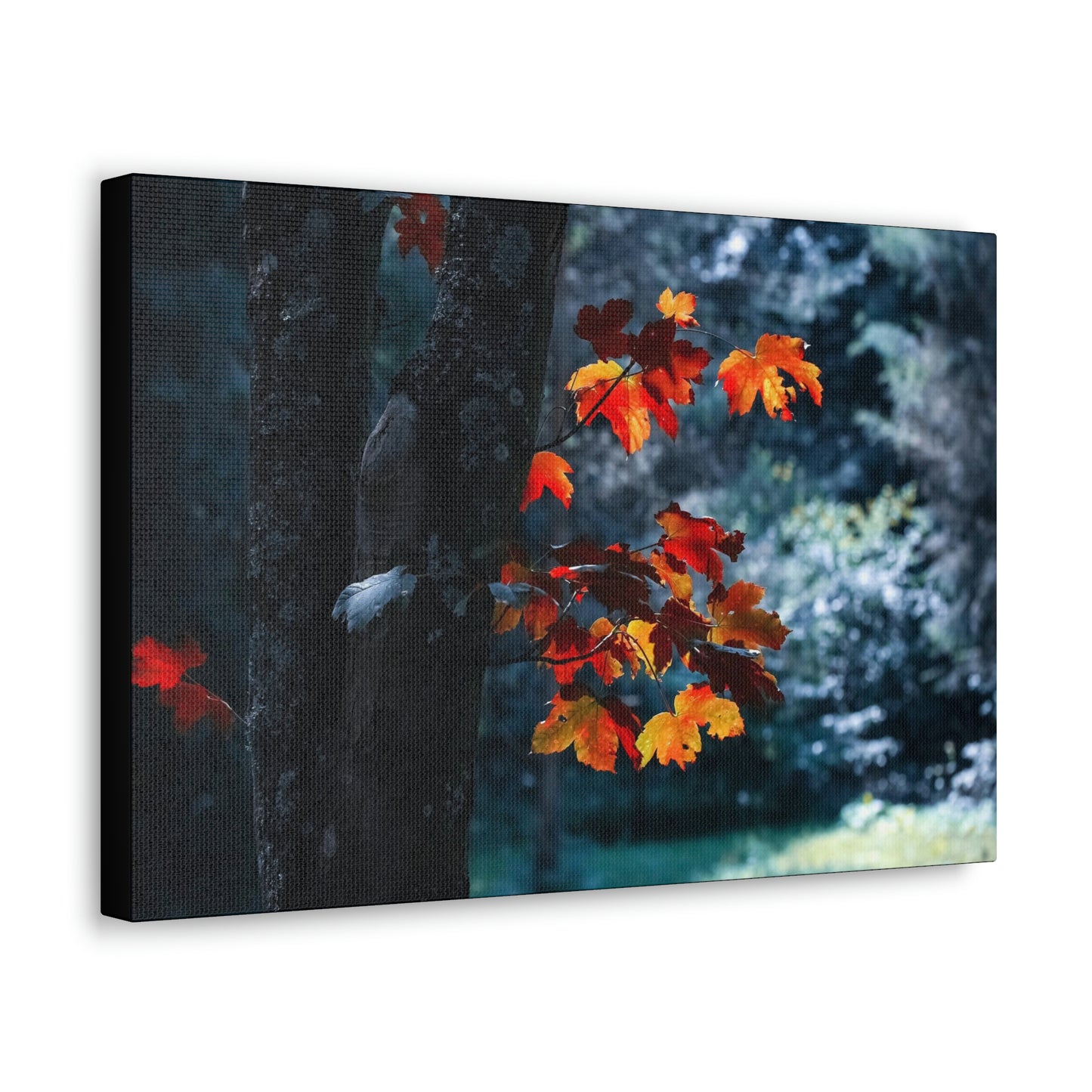 The last Leaves, Fall, Foliage, Nature, Forest - Canvas Gallery Wraps