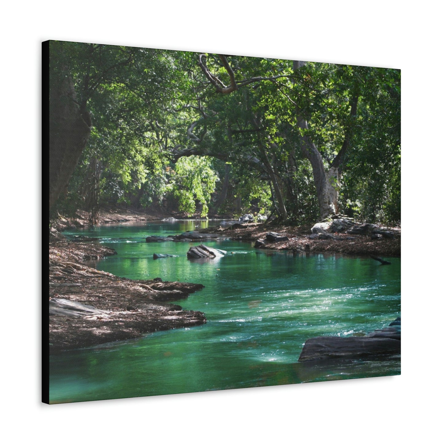 Scenic River - Forest - Canvas Gallery Wraps