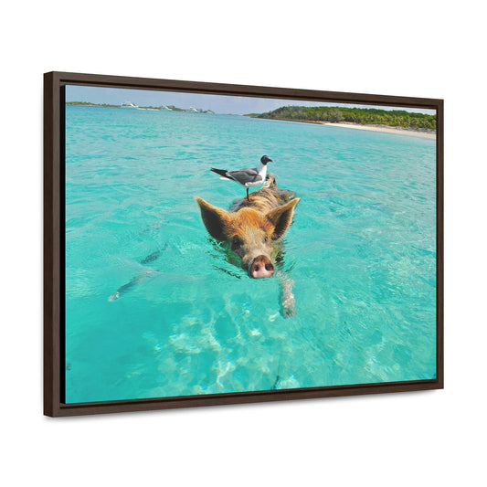 Ocean hog - Gallery Canvas Wraps, Horizontal Frame