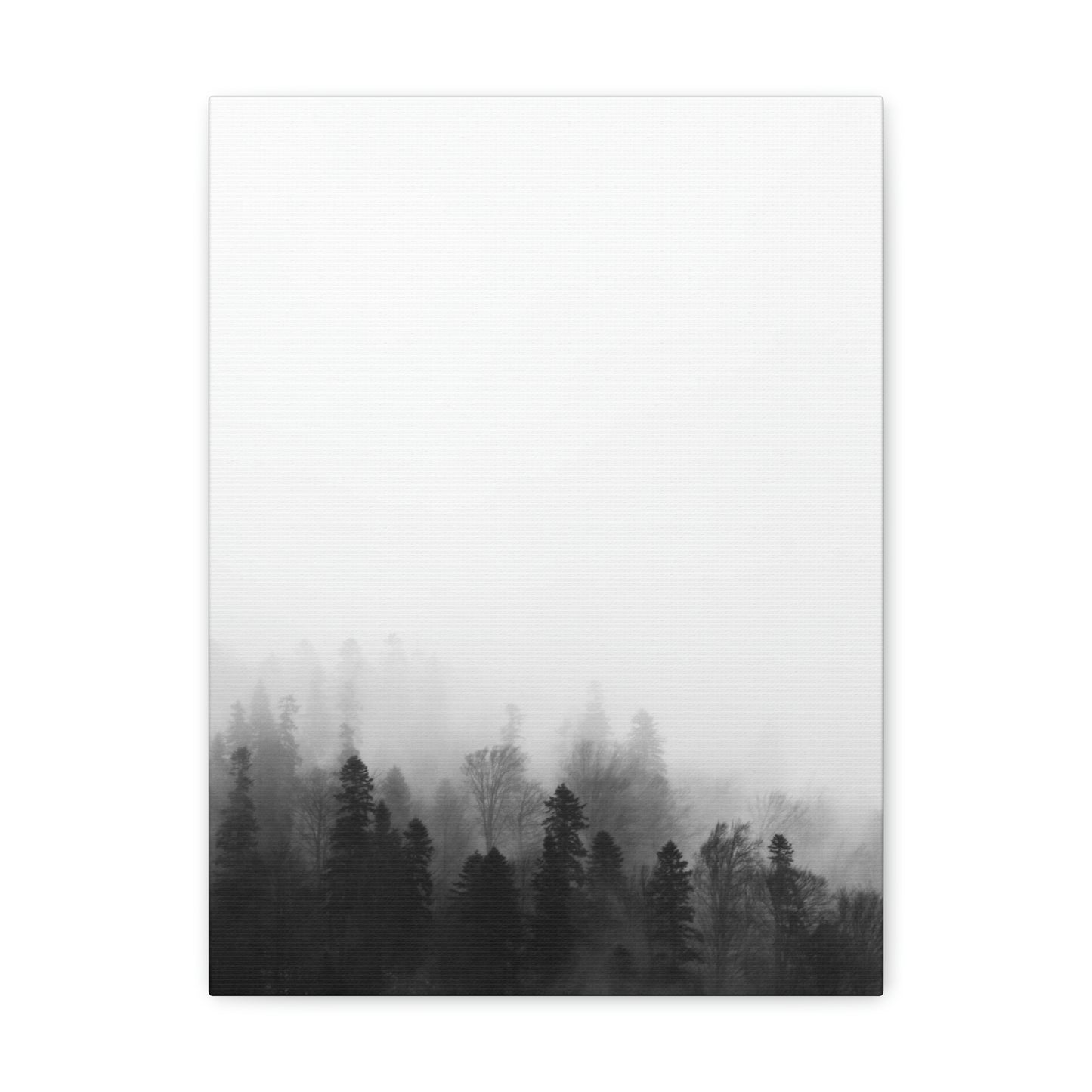 B&W Forest - Canvas Gallery Wraps