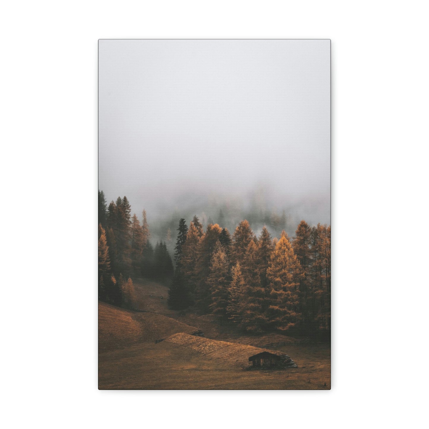 Smokey Mountains, Forest, Fog - Classic Canvas