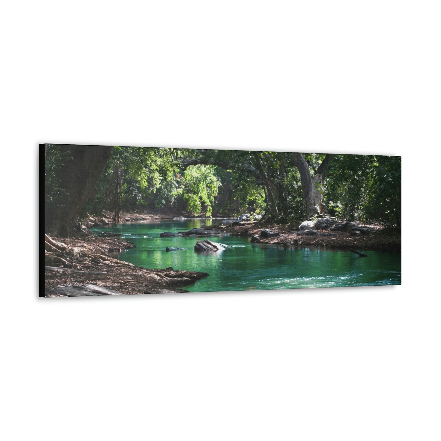 Scenic River - Forest - Canvas Gallery Wraps