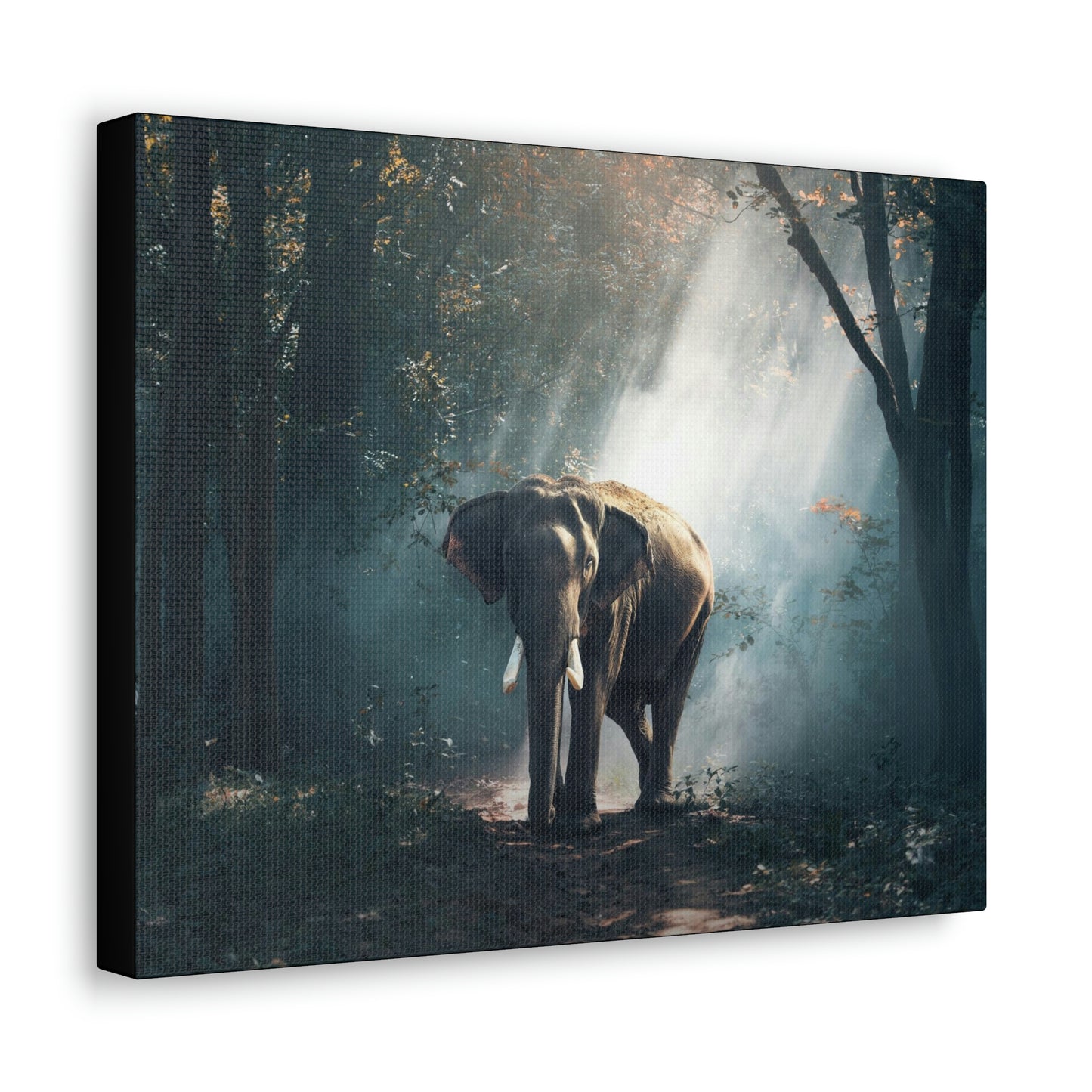 Elephant - Nature, Jungle Canvas Gallery Wraps