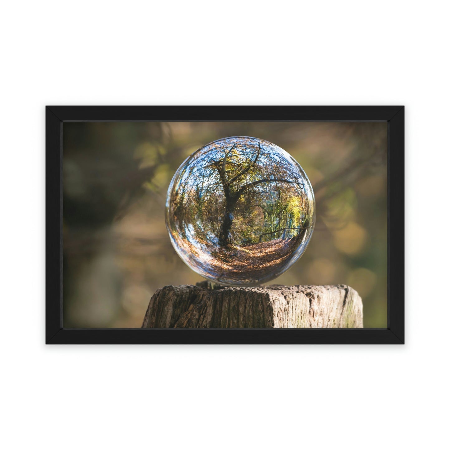 Forest Globe - Framed Poster, Horizontal