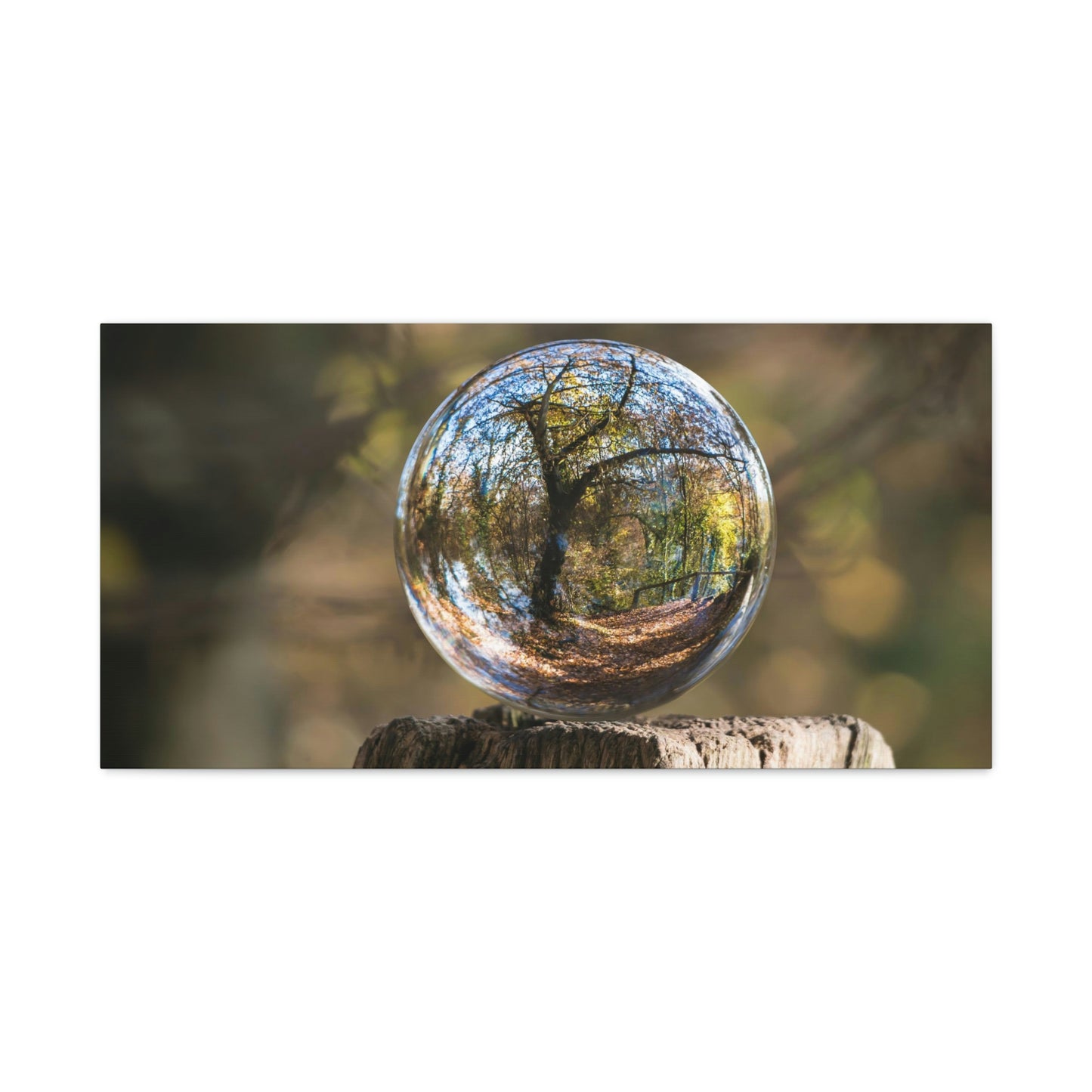 Forest, Globe, Trees, Nature, Forest Globe - Polyester Canvas