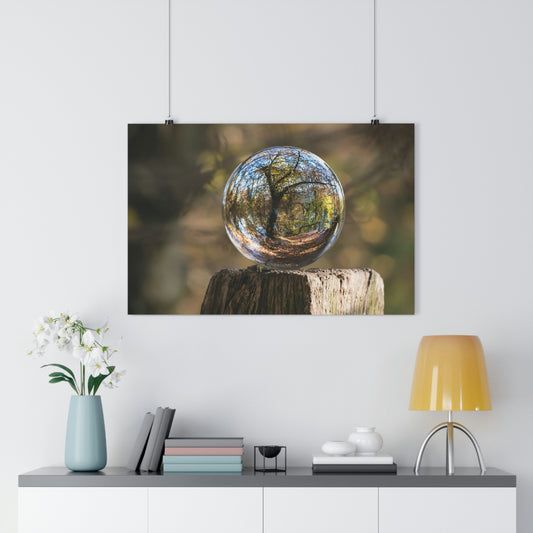 Forest, Globe, Nature, Forest Globe - Premium Poster