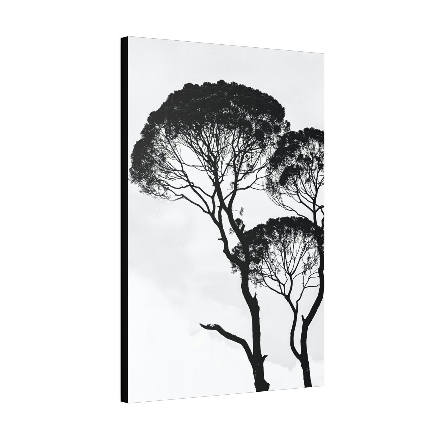 Black and White Trees, Trees, Savannah, Safari - Polyester Canvas