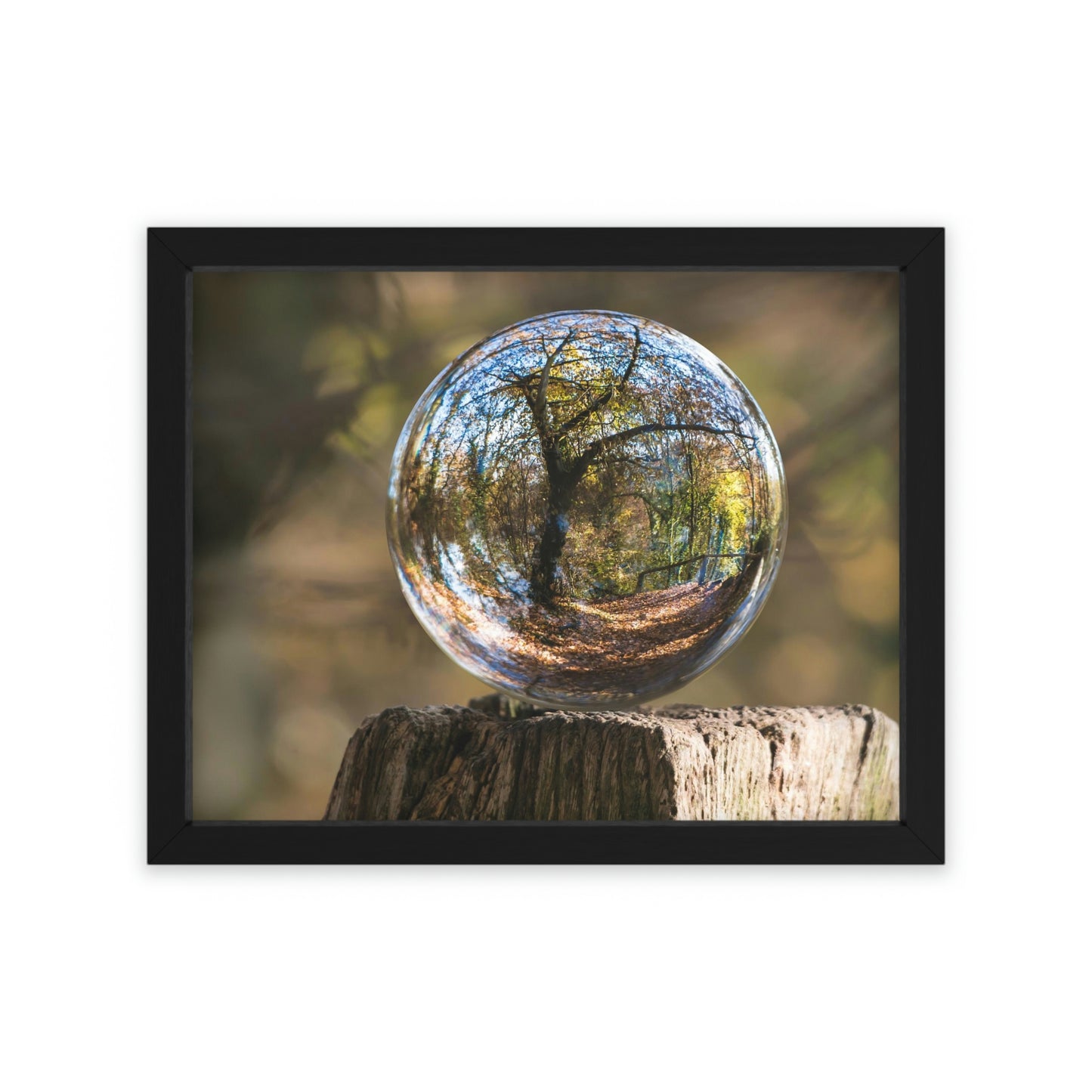 Forest Globe - Framed Poster, Horizontal