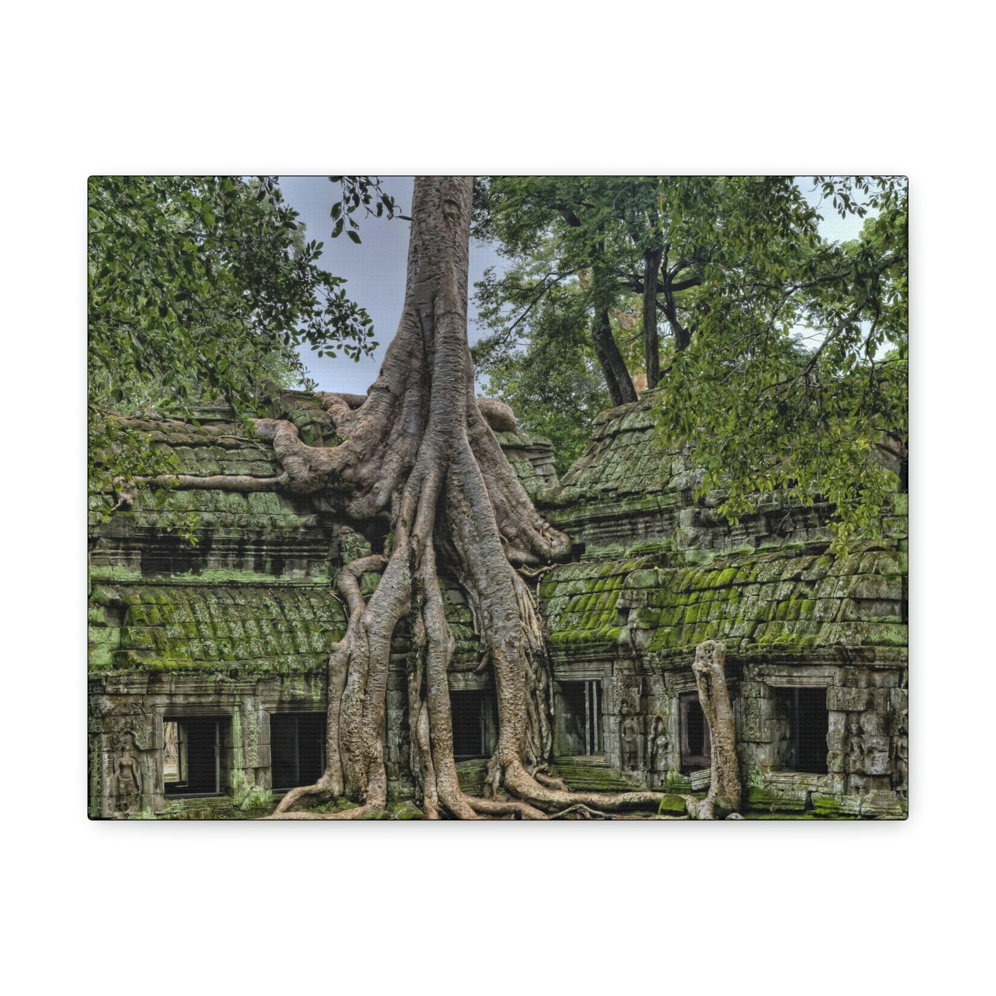 Jungle Temple - nature, trees Canvas Gallery Wraps