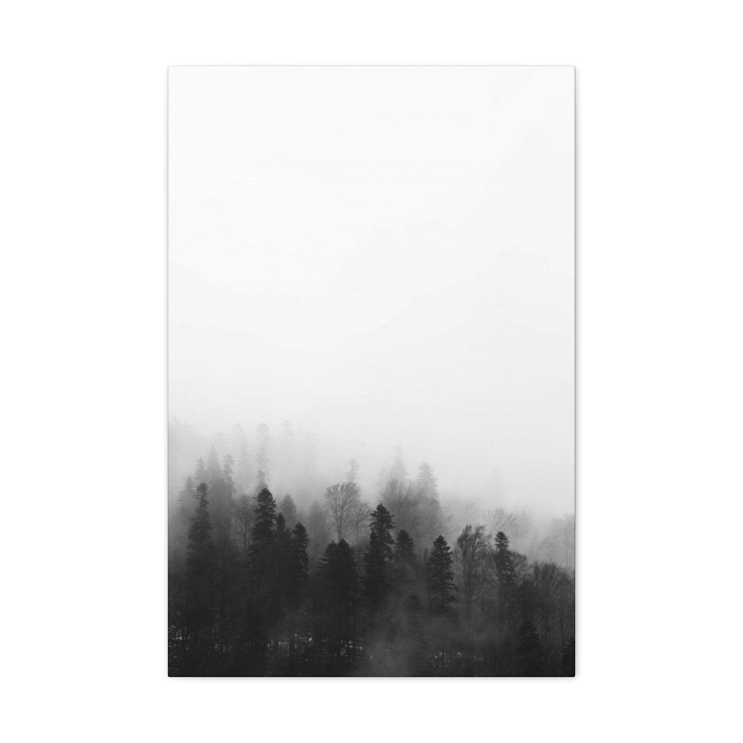 B&W Forest - Canvas Gallery Wraps