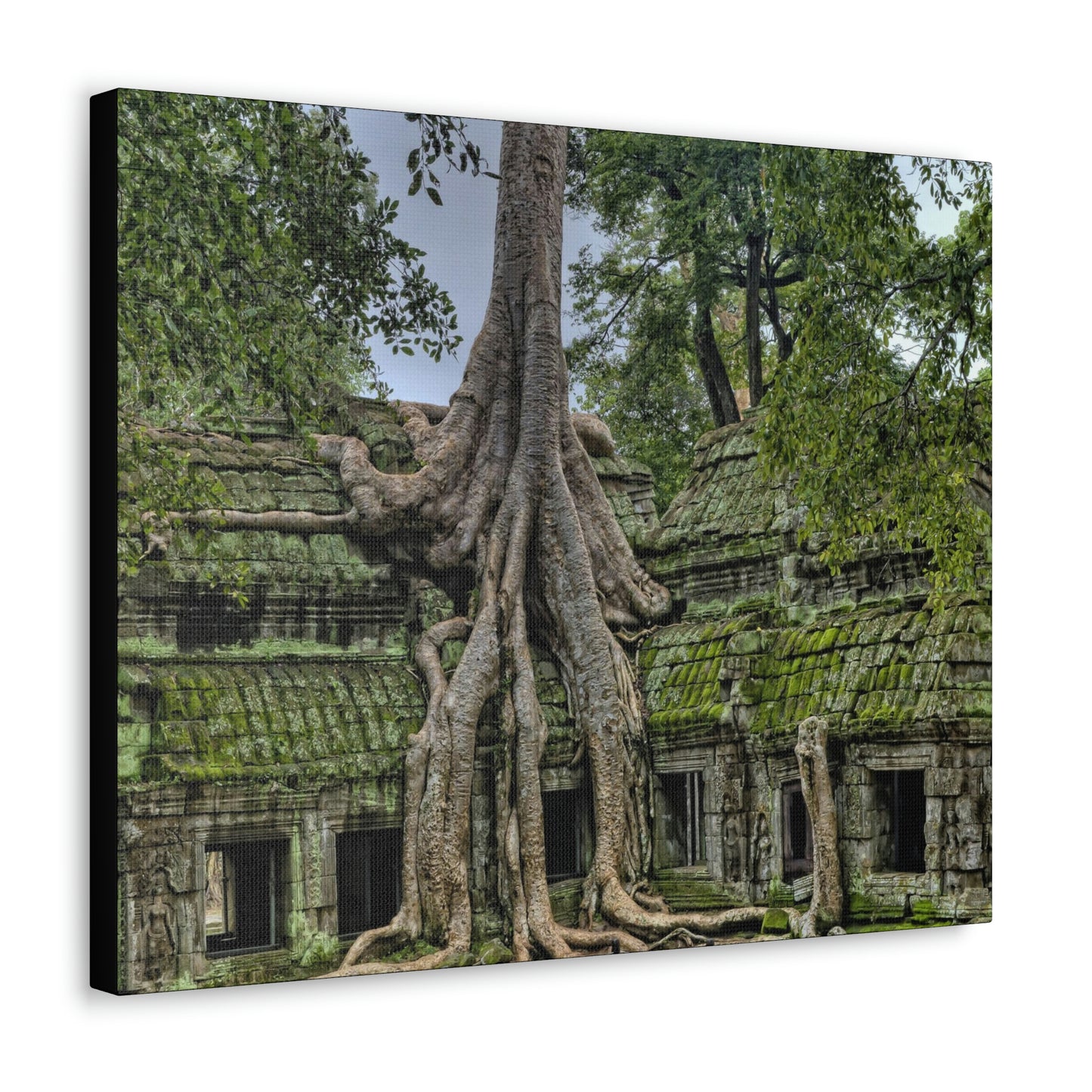 Jungle Temple - nature, trees Canvas Gallery Wraps