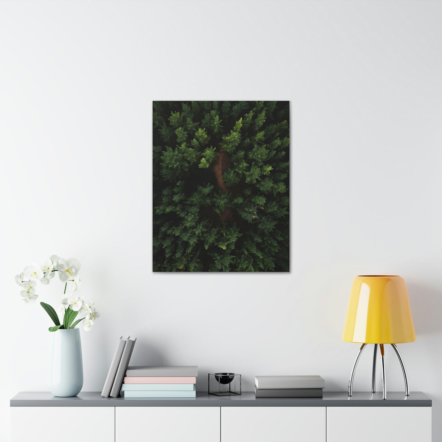 Forest eagle-view - Canvas Gallery Wraps