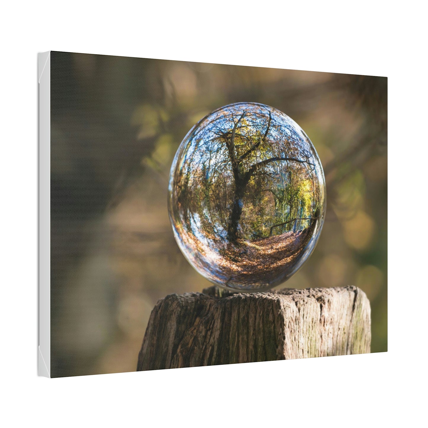 Forest, Globe, Trees, Nature, Forest Globe - Polyester Canvas