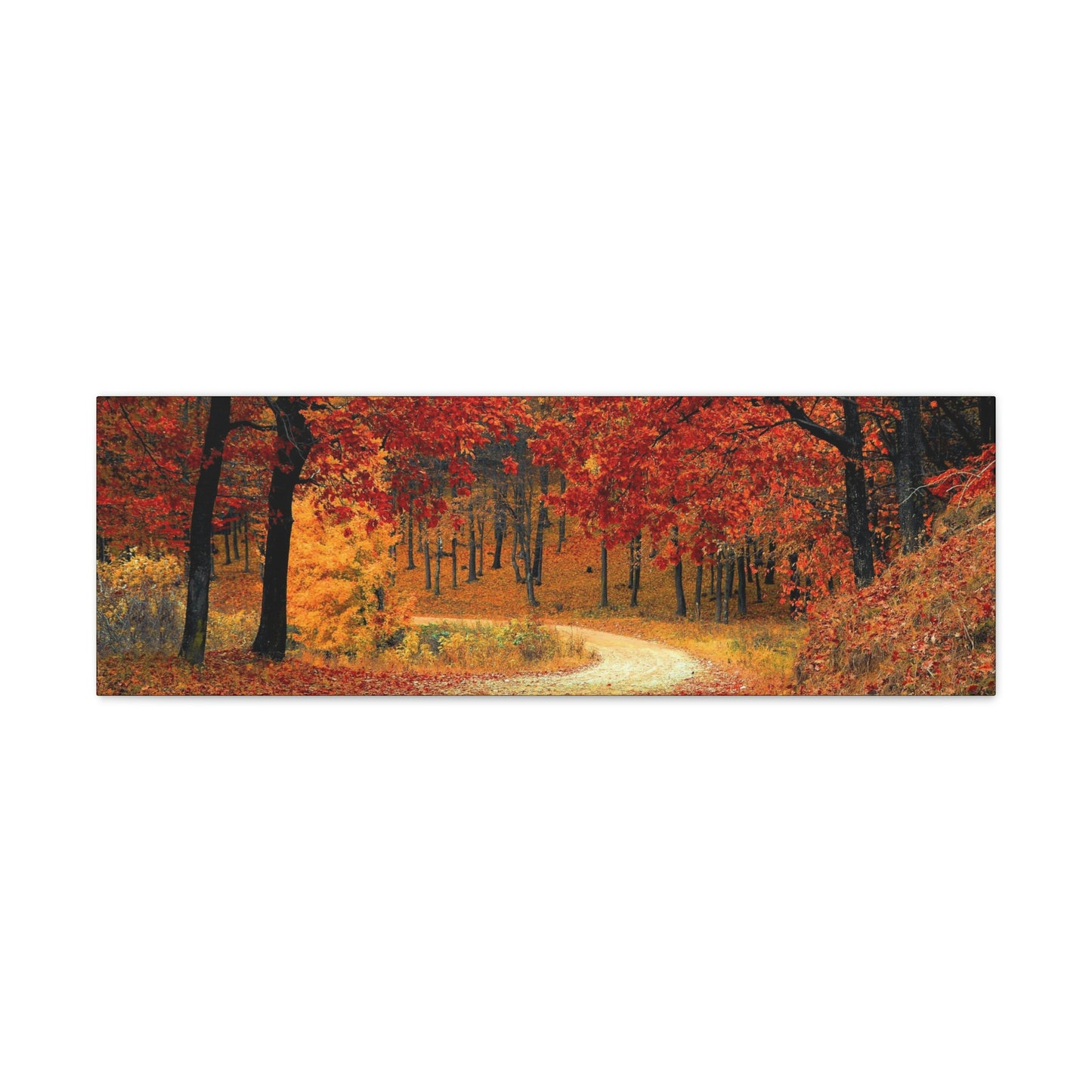 Fall Trail - Foliage forest - Canvas Gallery Wraps