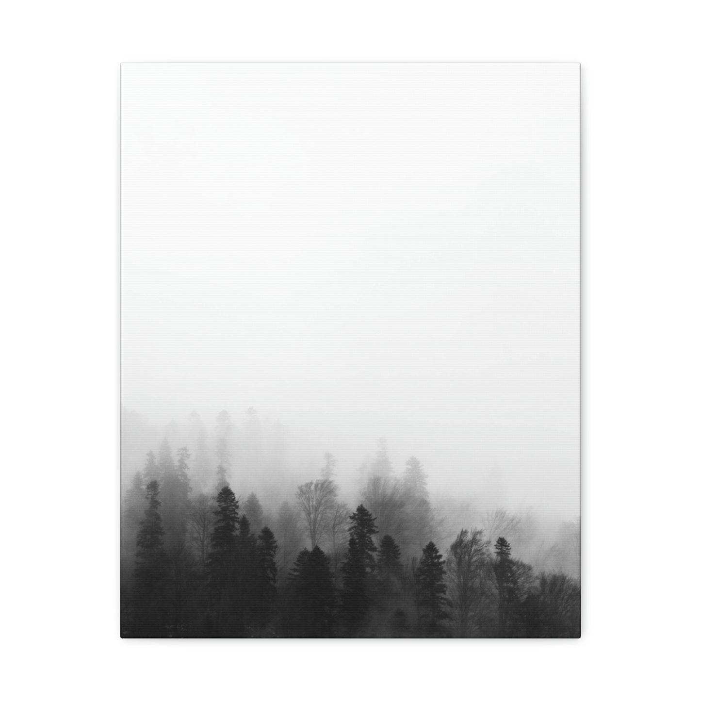 B&W Forest - Canvas Gallery Wraps