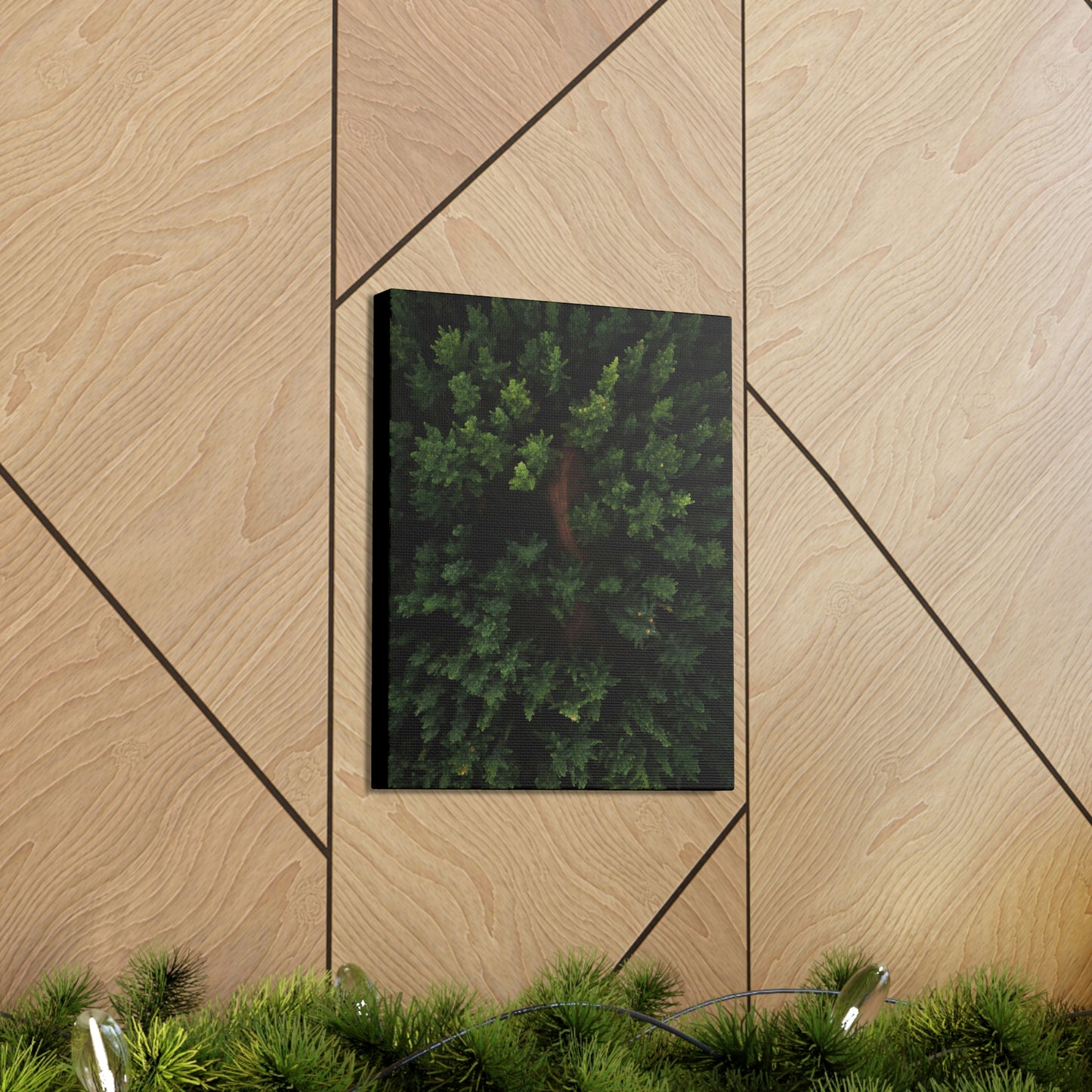 Forest eagle-view - Canvas Gallery Wraps
