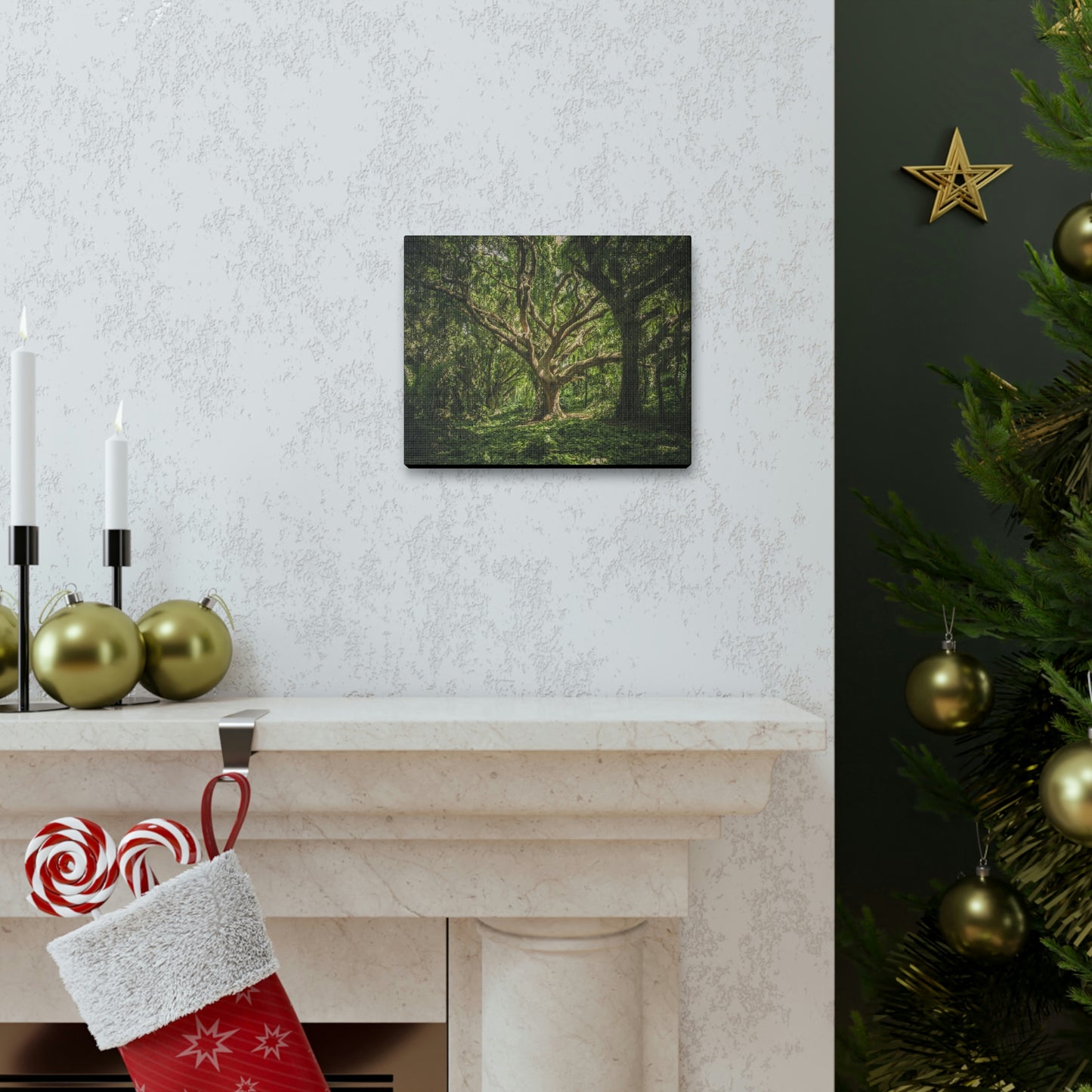 Forest - Tree Canvas Gallery Wraps