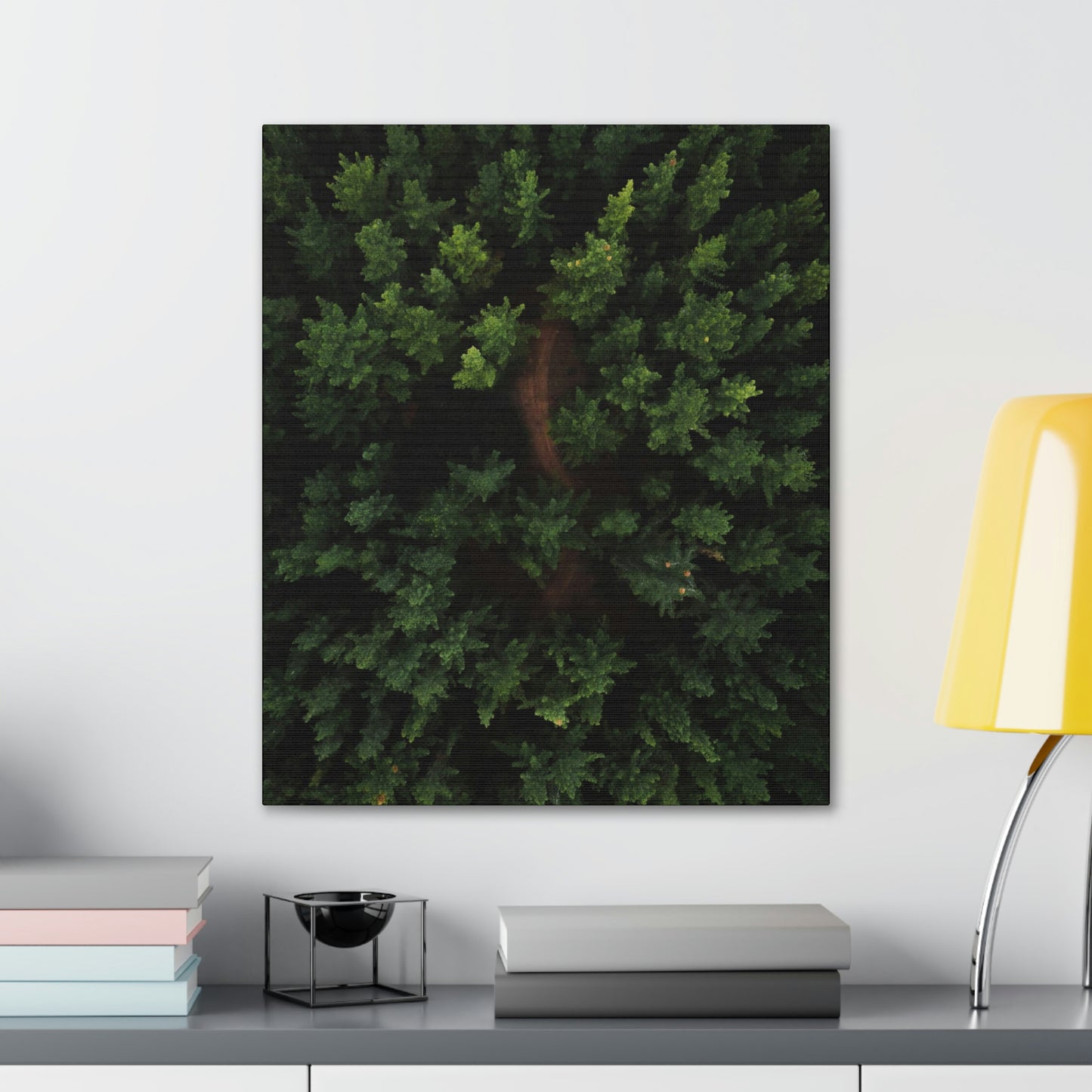 Forest eagle-view - Canvas Gallery Wraps