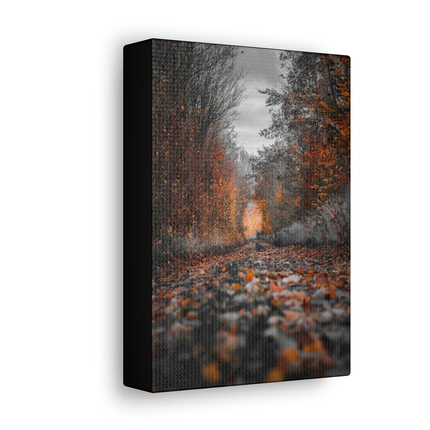 Fall road - Foliage, Nature, Forest, Leaves - Canvas Gallery Wraps