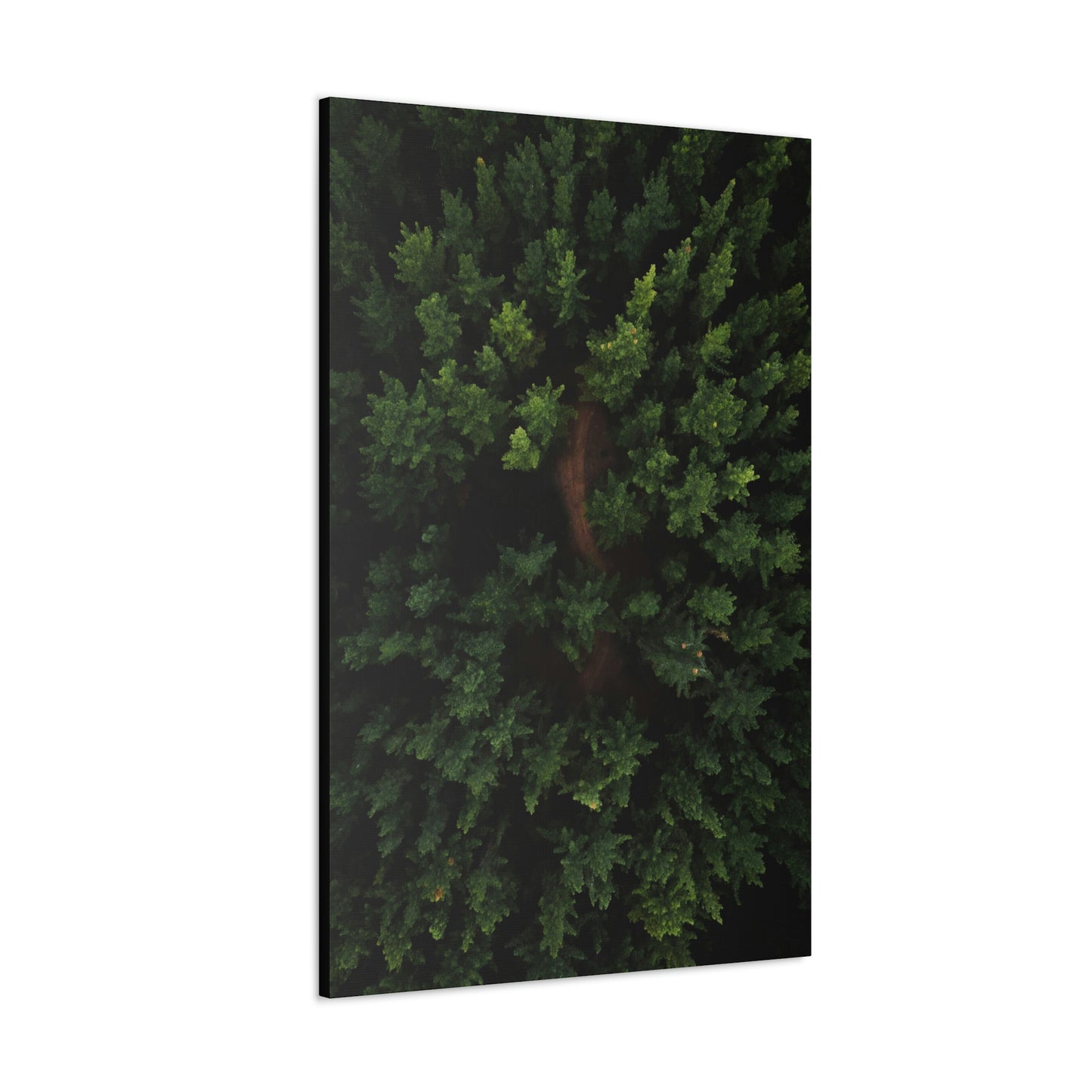 Forest eagle-view - Canvas Gallery Wraps