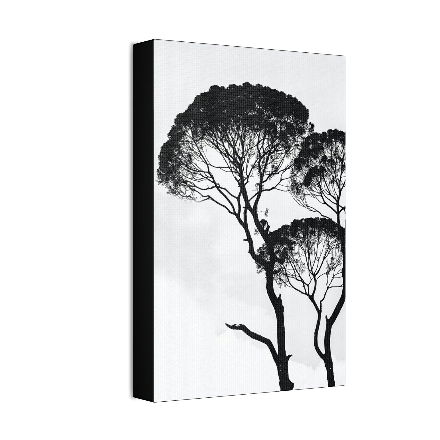 Black and White Trees, Trees, Savannah, Safari - Polyester Canvas