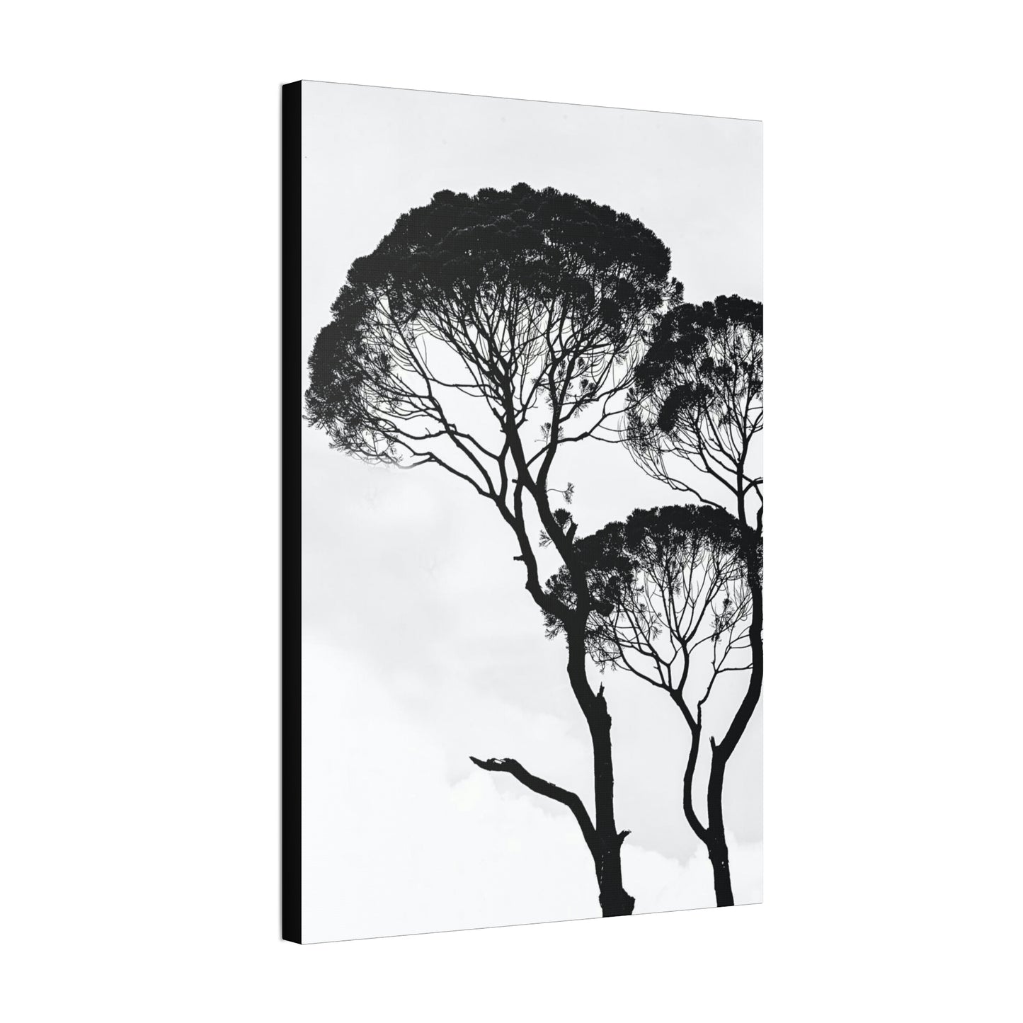 Black and White Trees, Trees, Savannah, Safari - Polyester Canvas