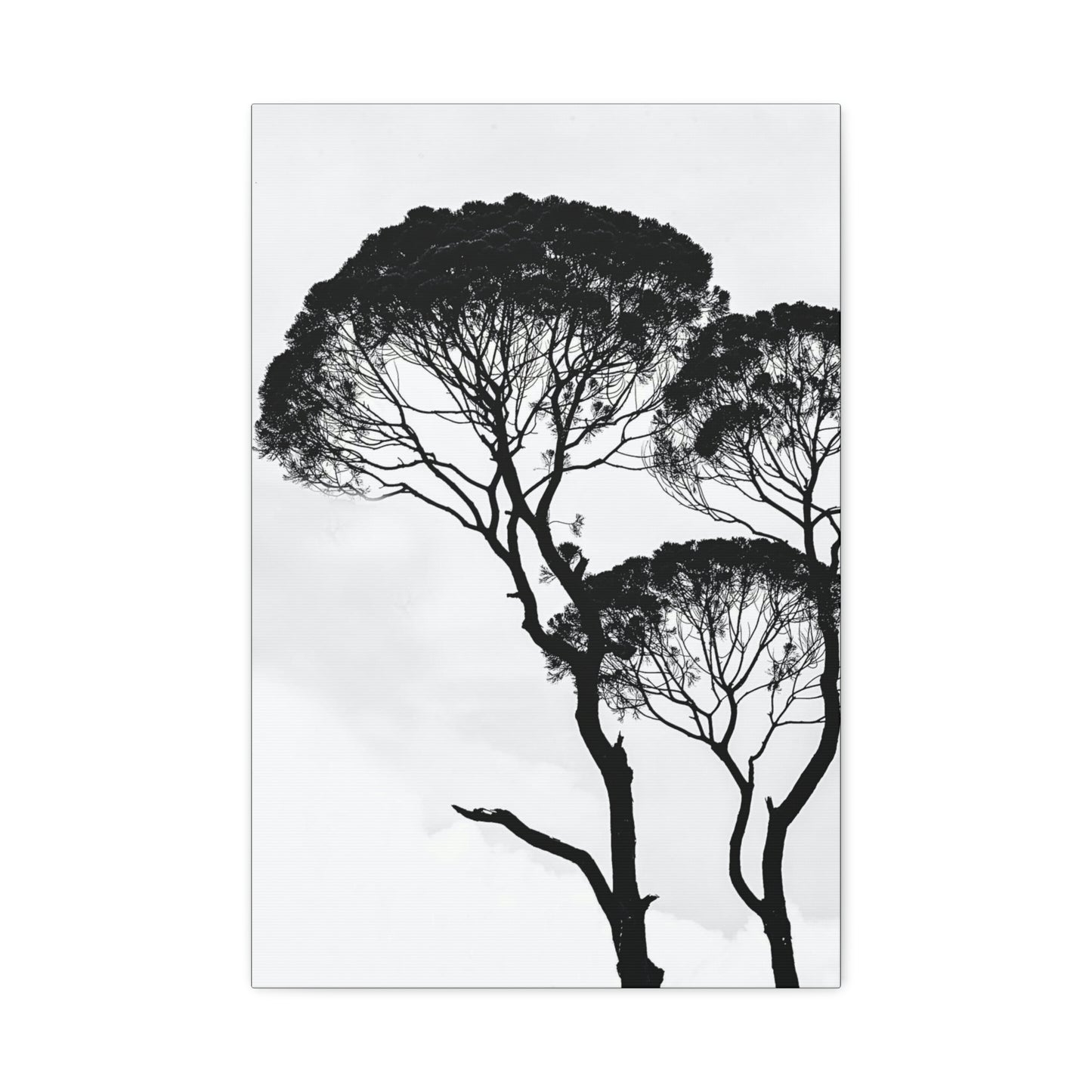 Black and White Trees, Trees, Savannah, Safari - Polyester Canvas