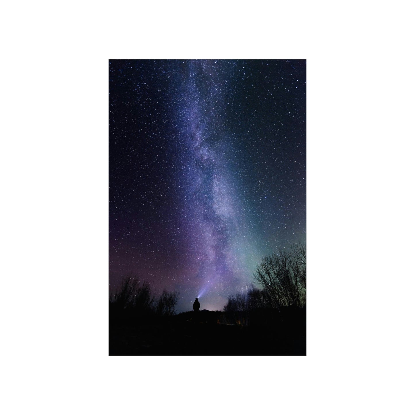 Stars Gazer - Premium Matte Vertical Posters
