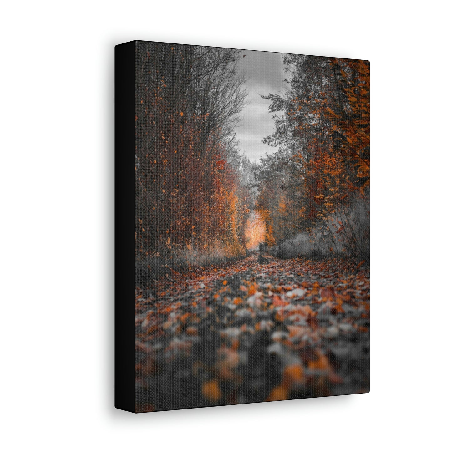 Fall road - Foliage, Nature, Forest, Leaves - Canvas Gallery Wraps