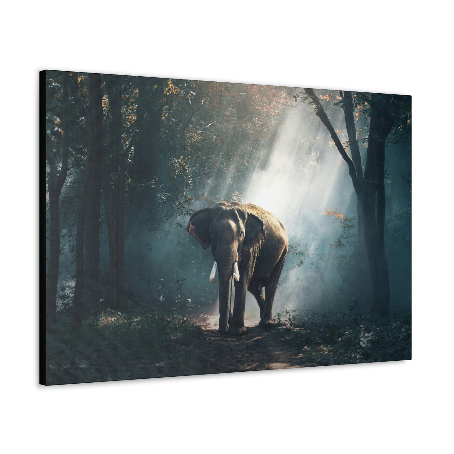 Elephant - Nature, Jungle Canvas Gallery Wraps