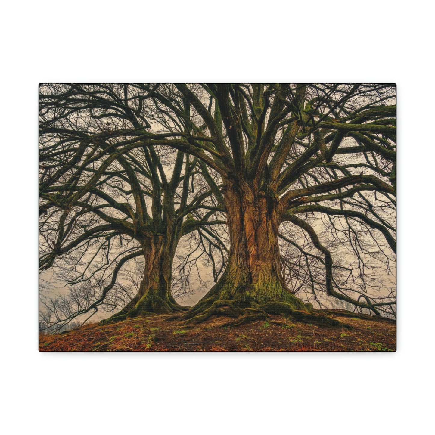 Dark Trees - Nature, Trees, Dark Canvas Gallery Wraps